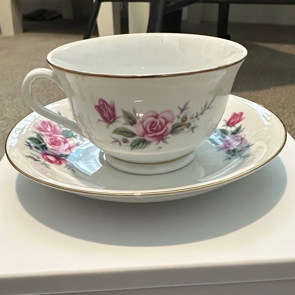 Vintage Pink Roses Teacup and Saucer Set